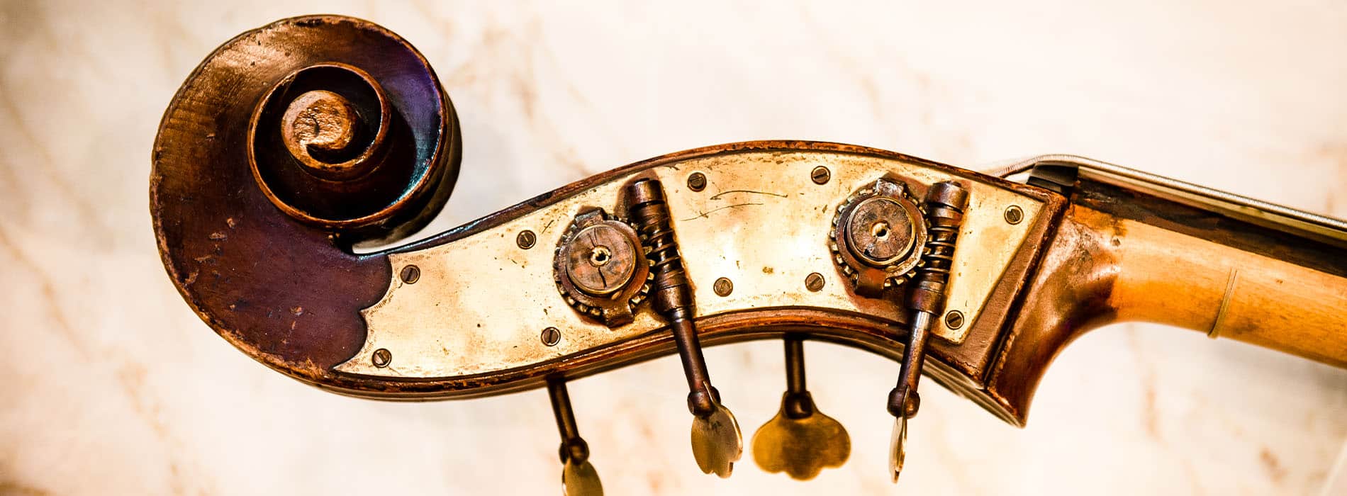 Detail of a violin neck