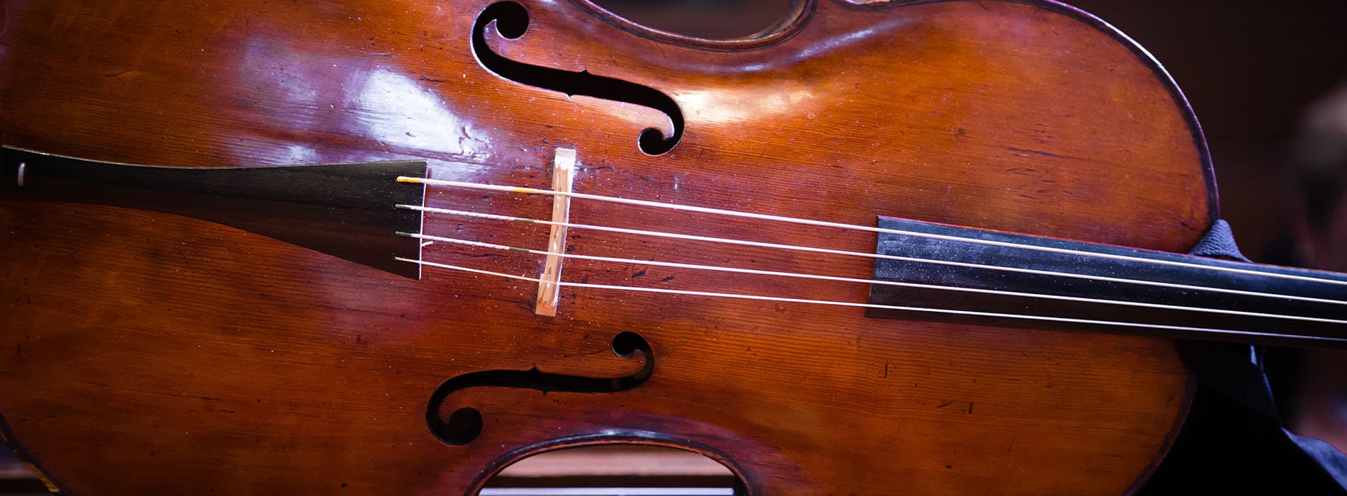 Detail of a violin soundboard